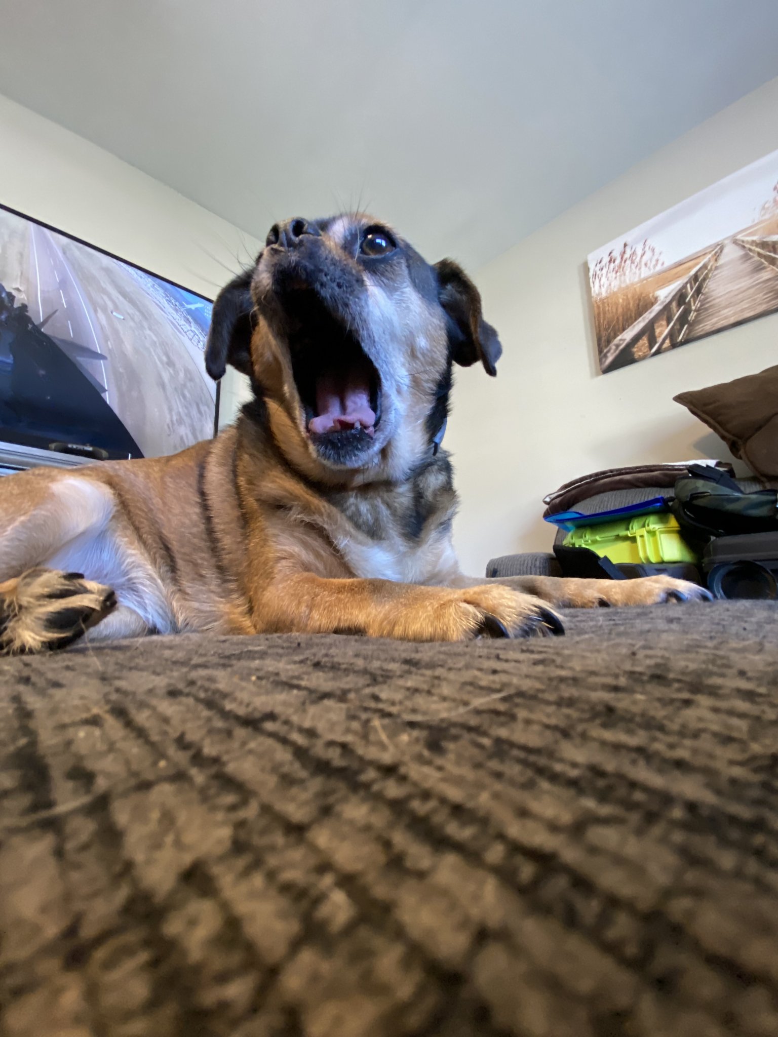 IMG_5510.jpeg