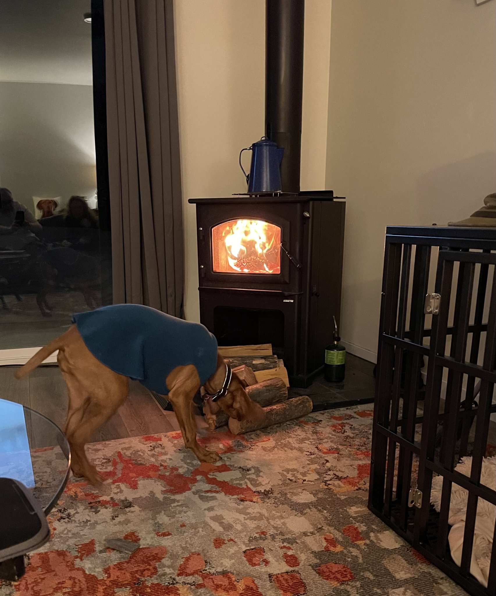 IMG_5602.jpeg