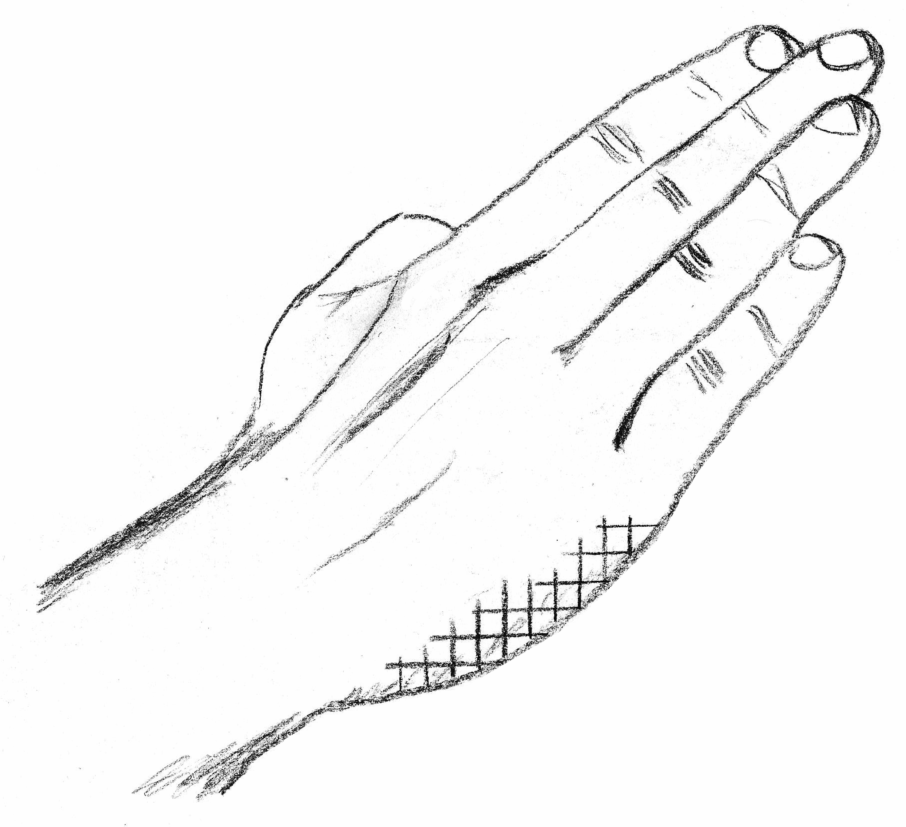 IMG_5638.PNG