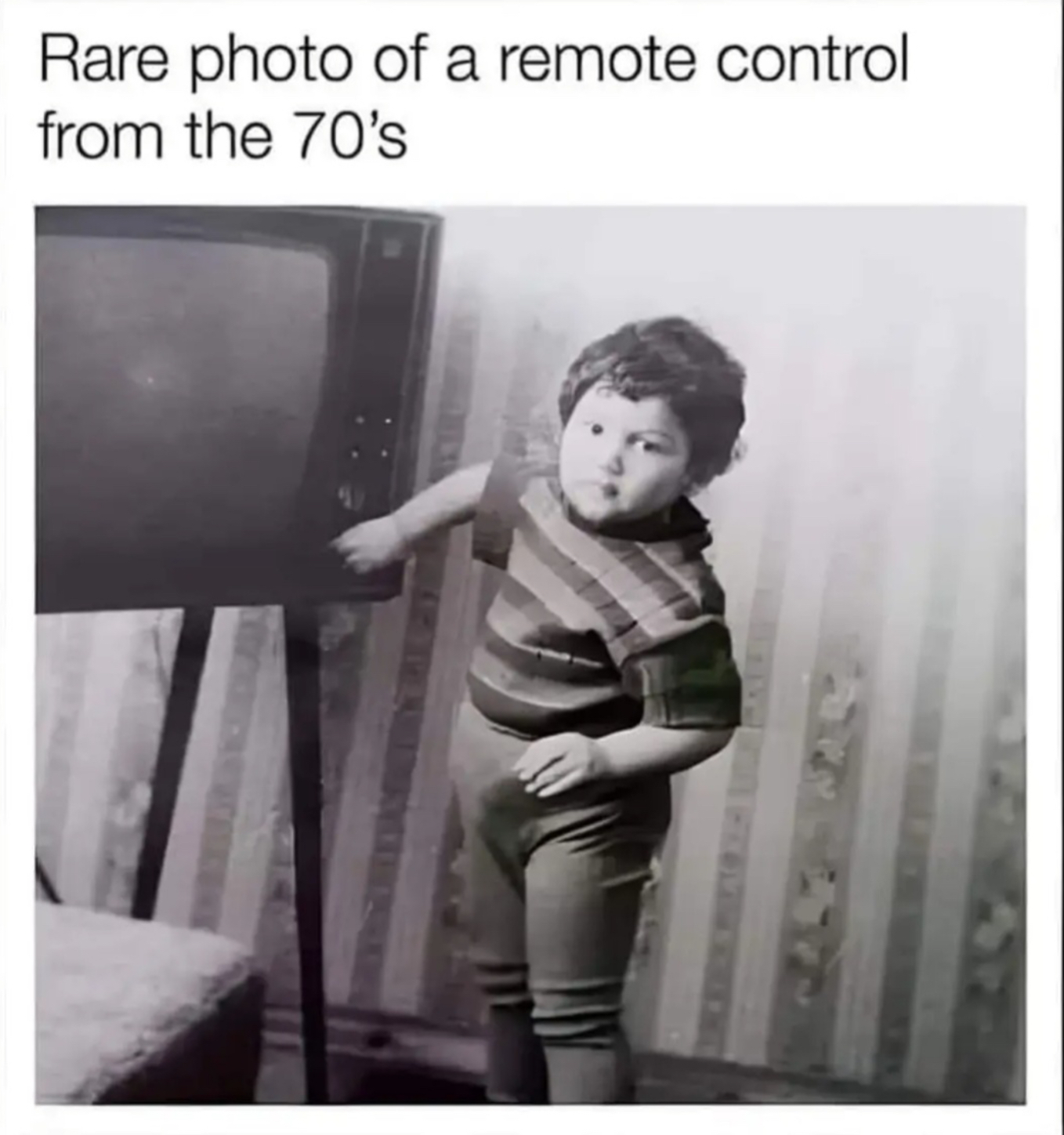 IMG_5666.jpeg