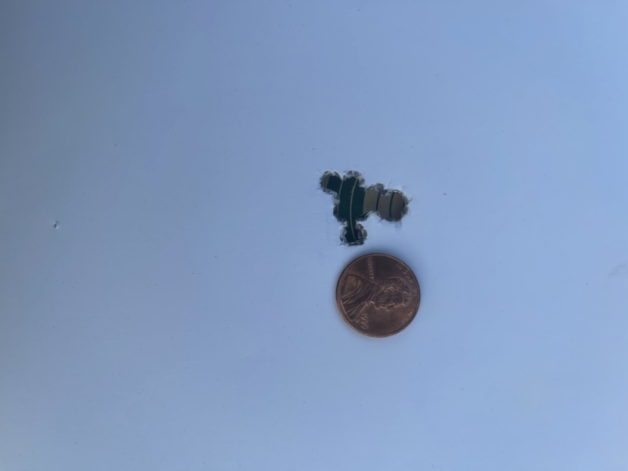 IMG_5692.jpeg