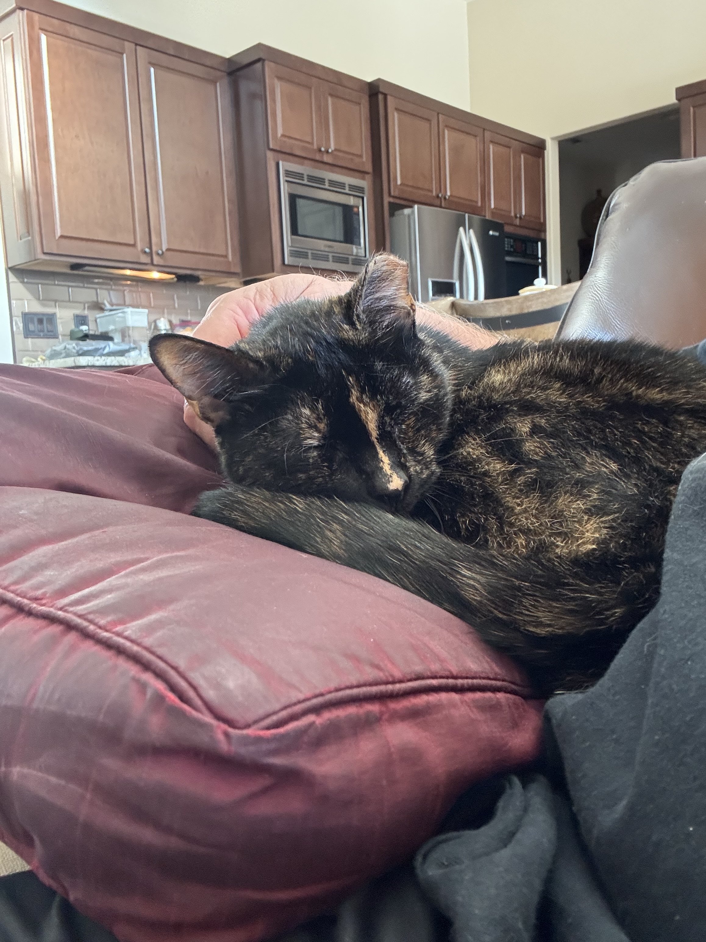 IMG_5694.jpeg