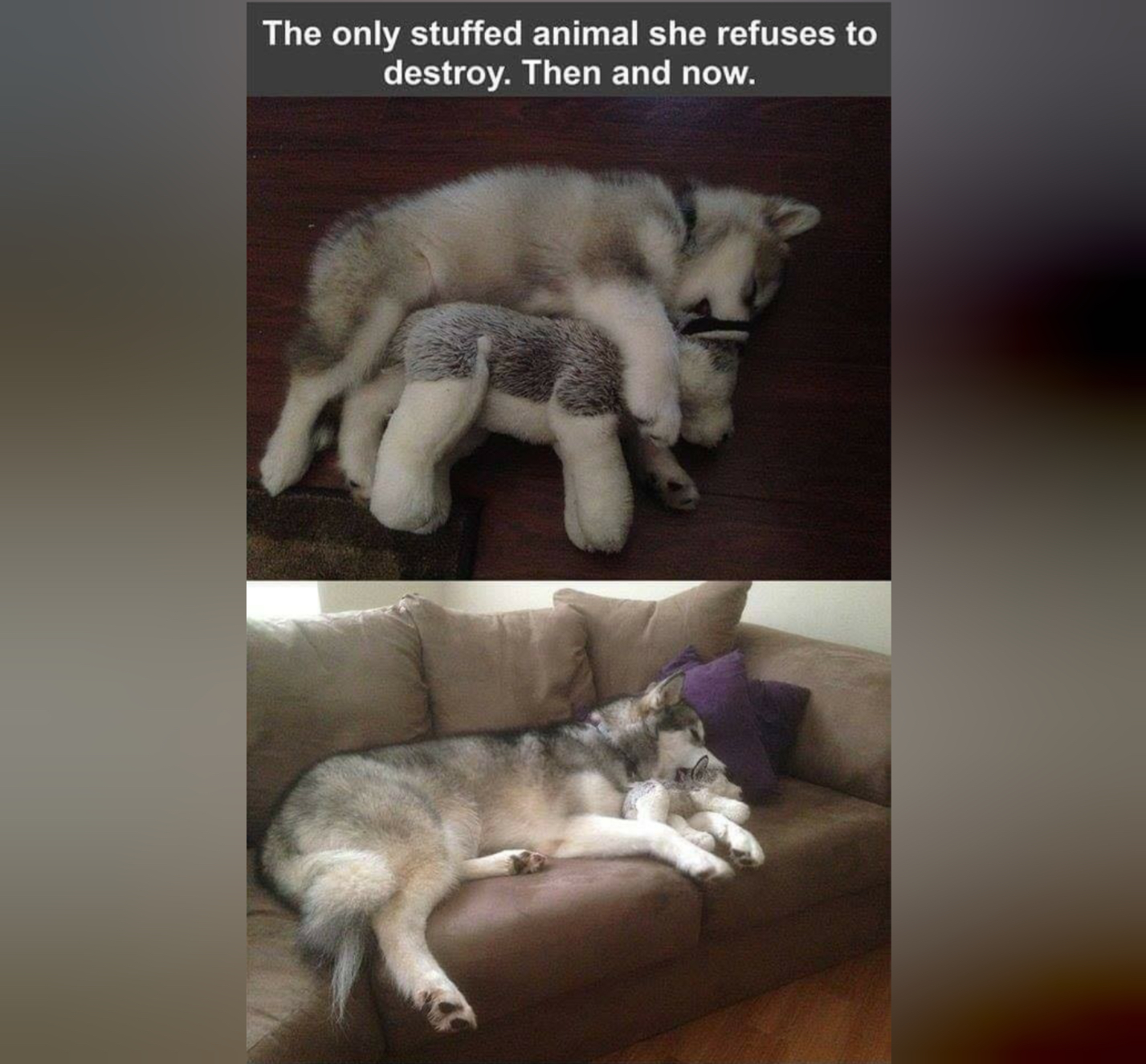 IMG_5817.jpeg