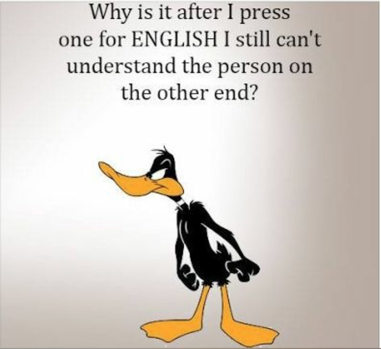 IMG_5836.jpeg