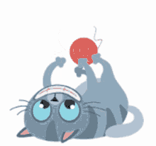 IMG_5900.gif