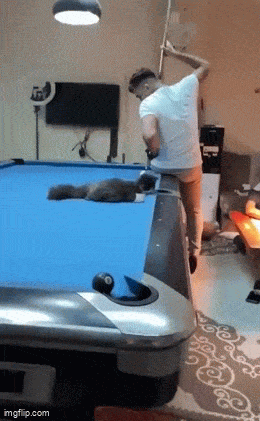 IMG_5913.gif