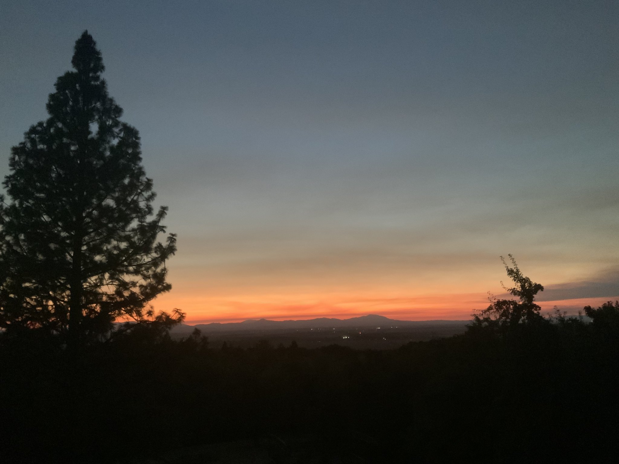 IMG_5985.jpeg