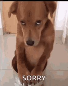 IMG_5994.gif