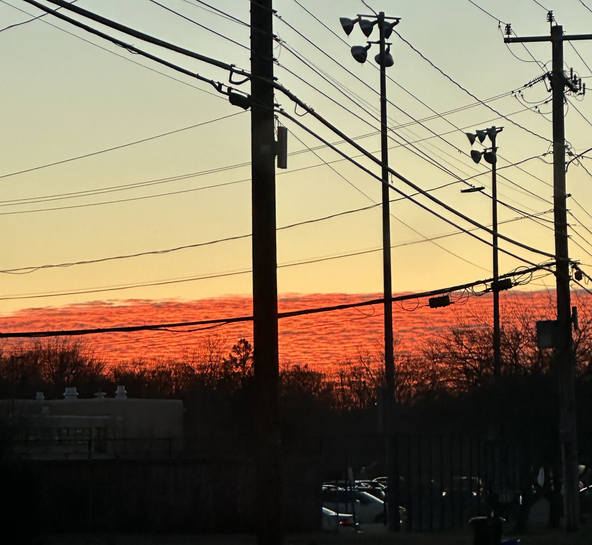 IMG_6023.jpeg
