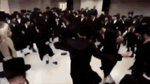 IMG_6085.gif