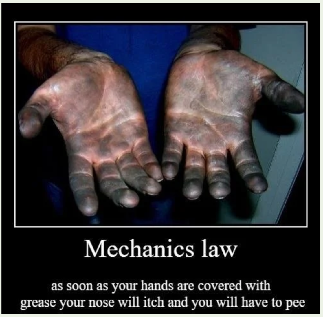 IMG_6176.png