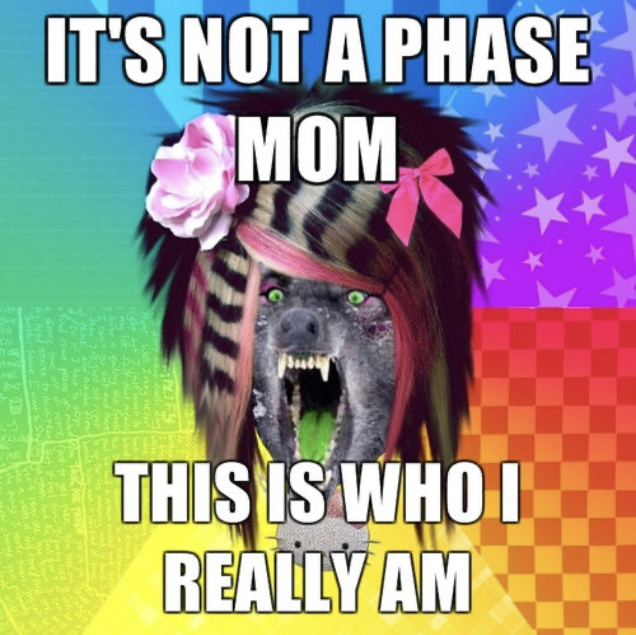 IMG_6352.jpeg