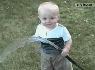 IMG_6464.gif