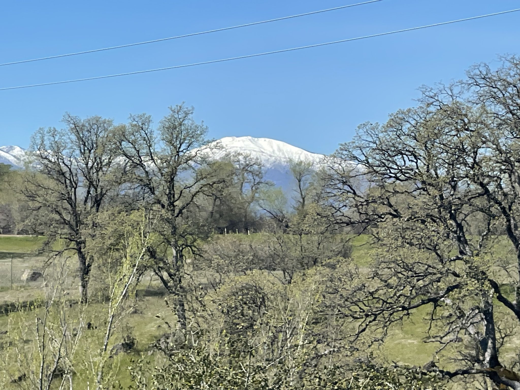 IMG_6547.jpeg