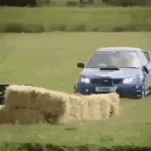 IMG_6724.gif