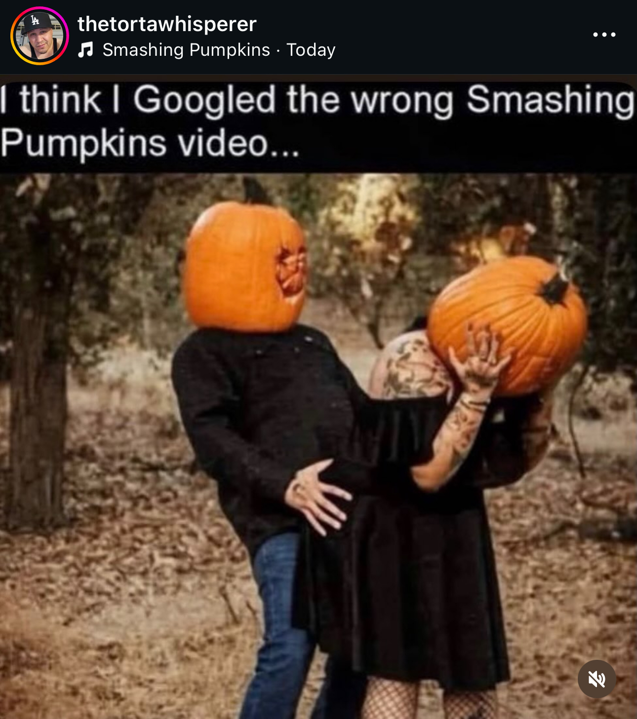 IMG_6736.jpeg