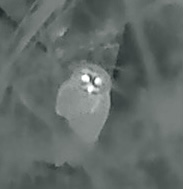 IMG_6790.jpeg
