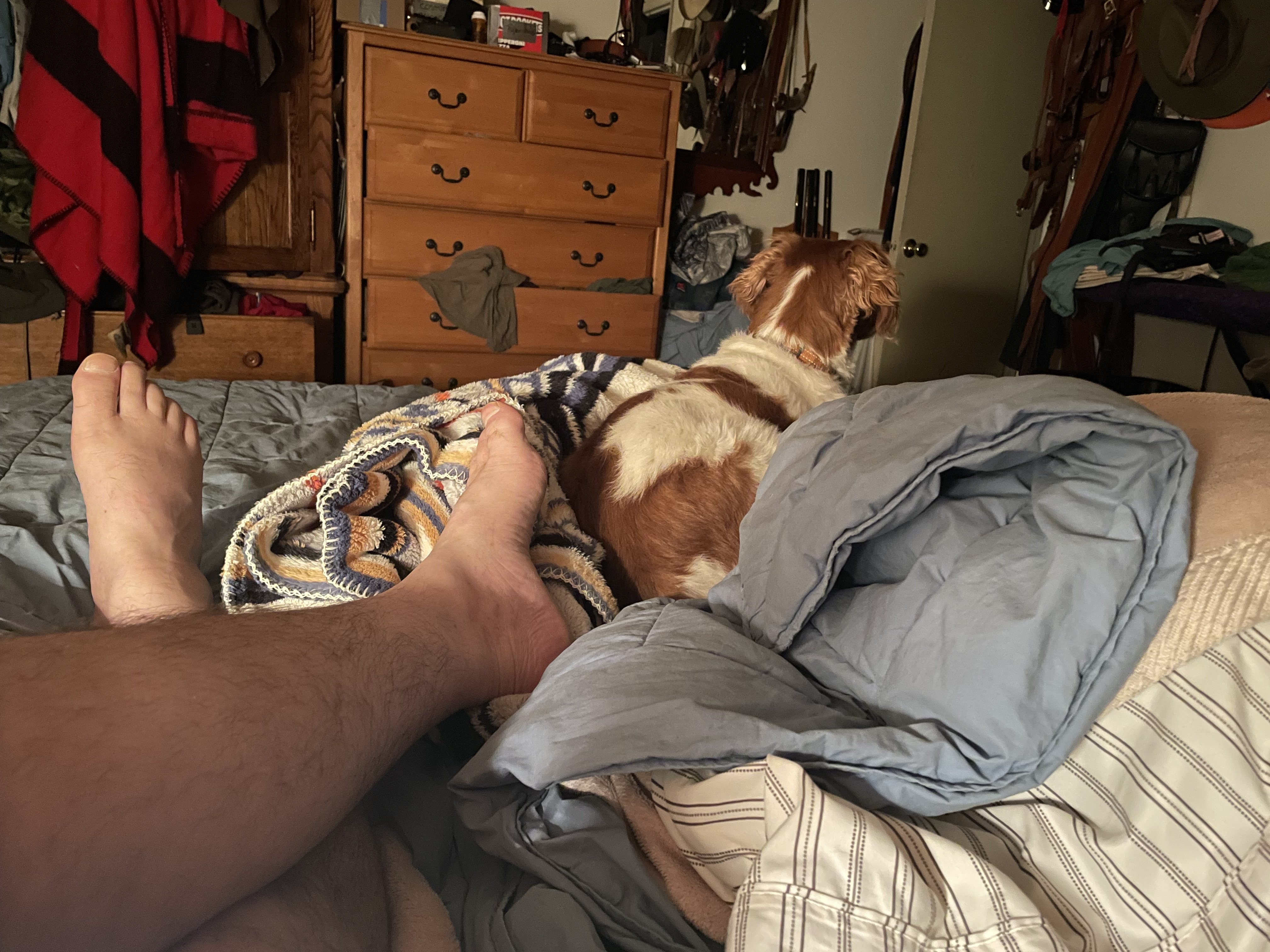 IMG_6941.jpeg