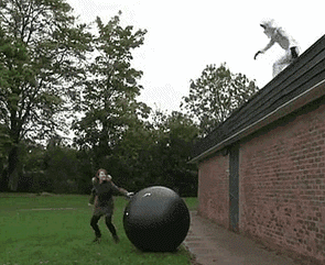 IMG_6980.gif