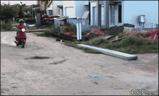 IMG_6984.gif