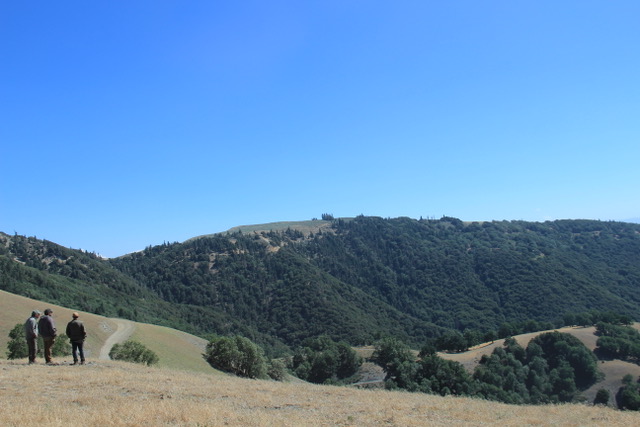 IMG_7030.jpeg