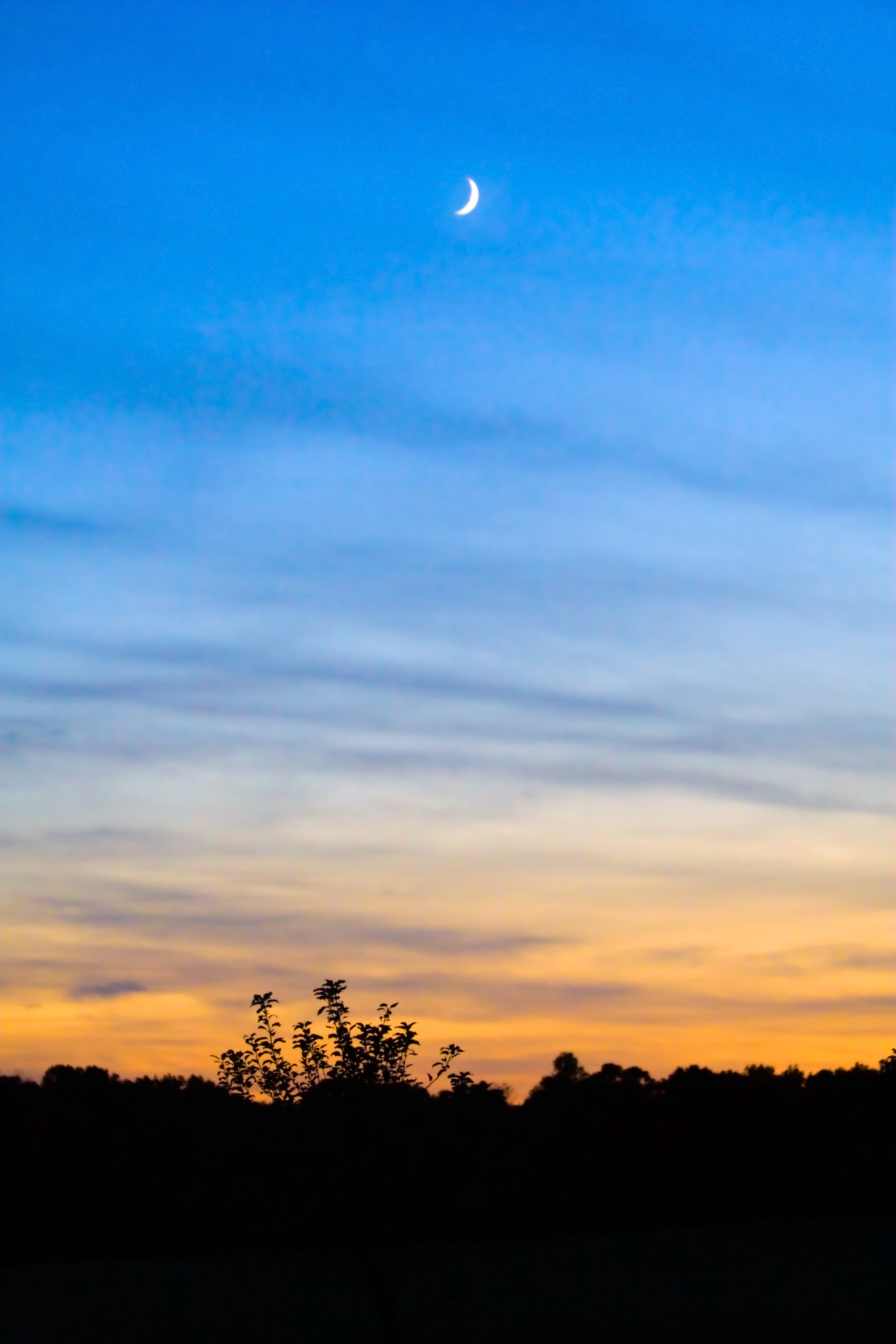 IMG_7137 - Pretty Blue Sky at Twilight.JPG