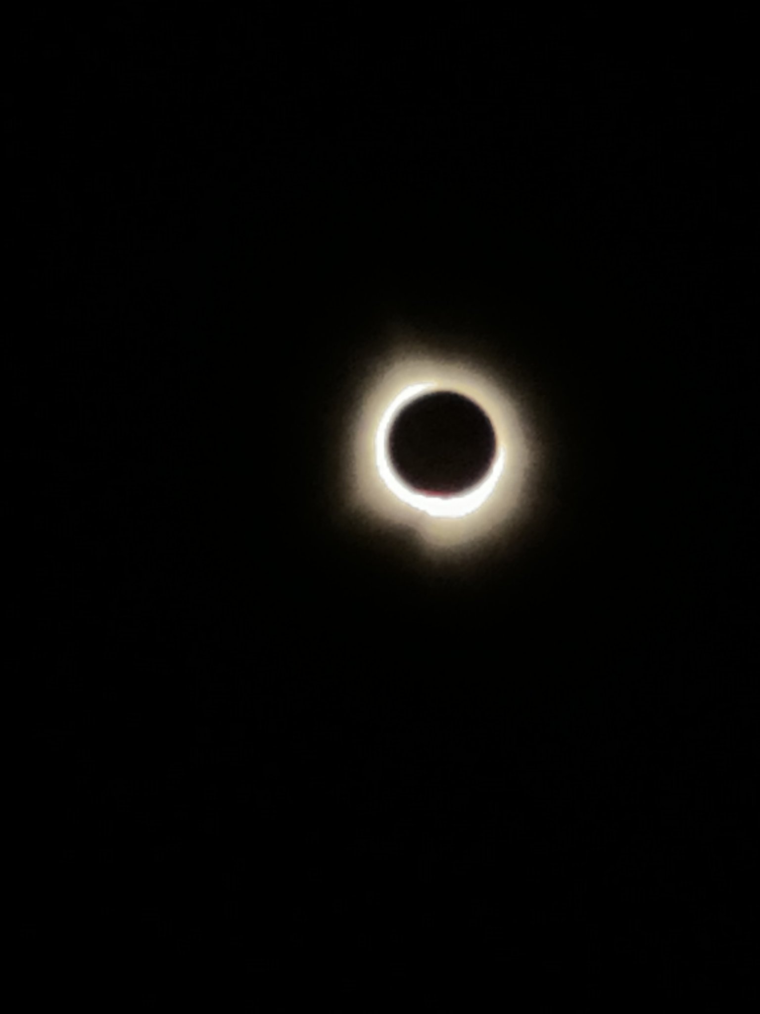IMG_7171.jpeg
