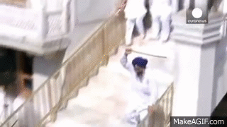 IMG_7283.gif
