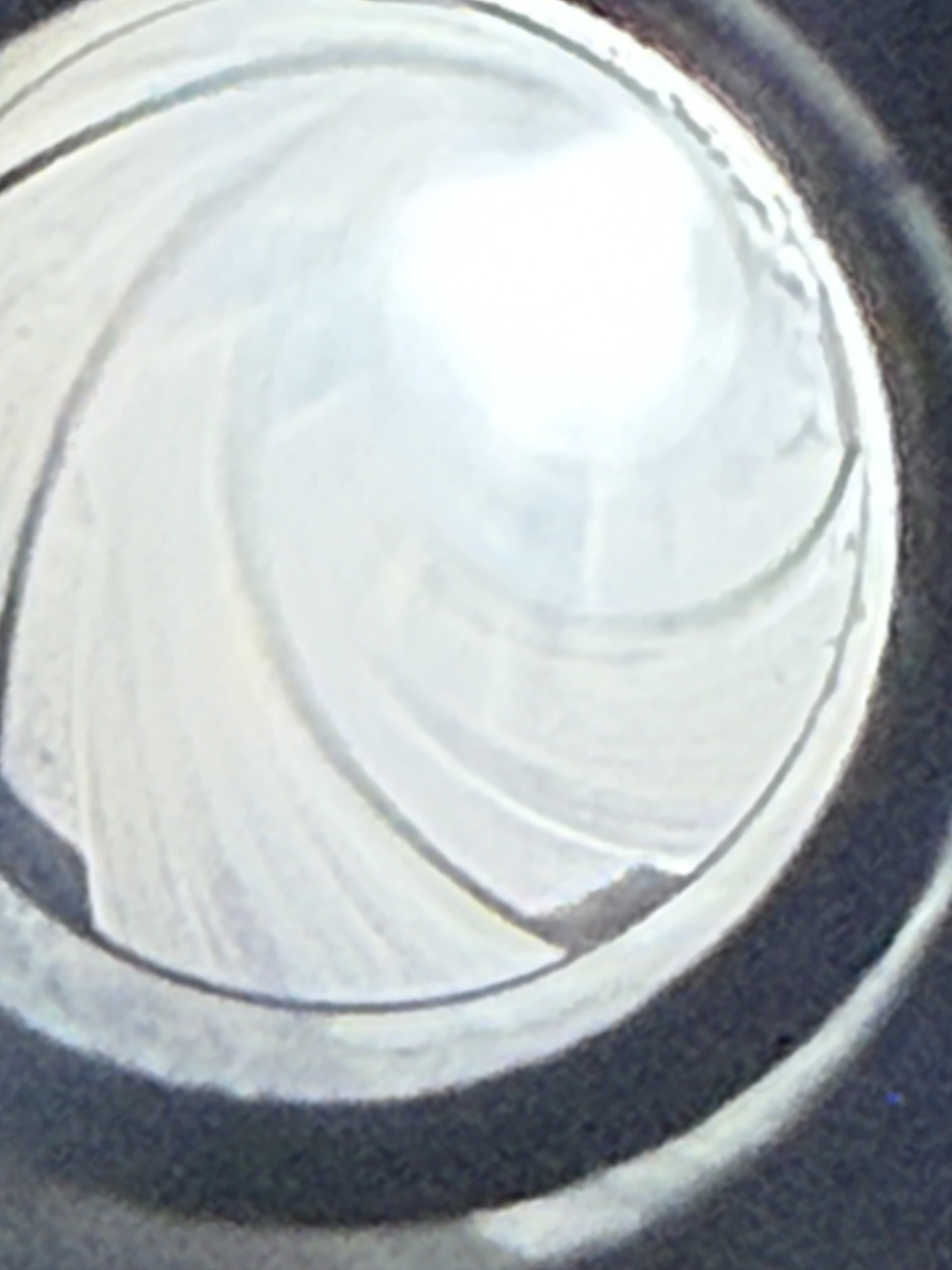 IMG_7360.jpeg