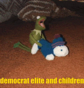IMG_7384.gif