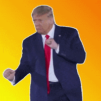 IMG_7633.gif
