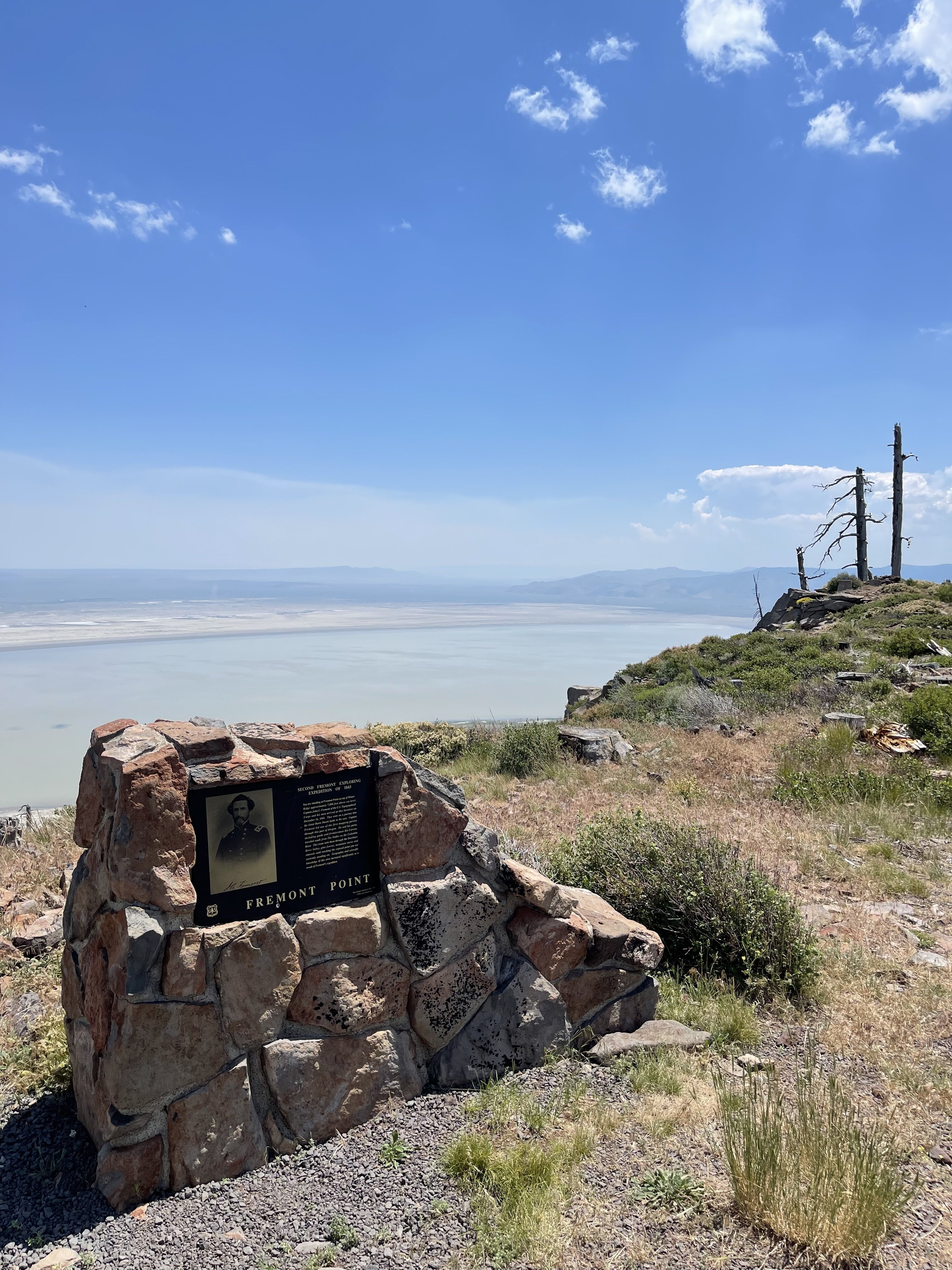 IMG_7931.jpeg