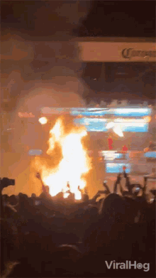 IMG_7961.gif