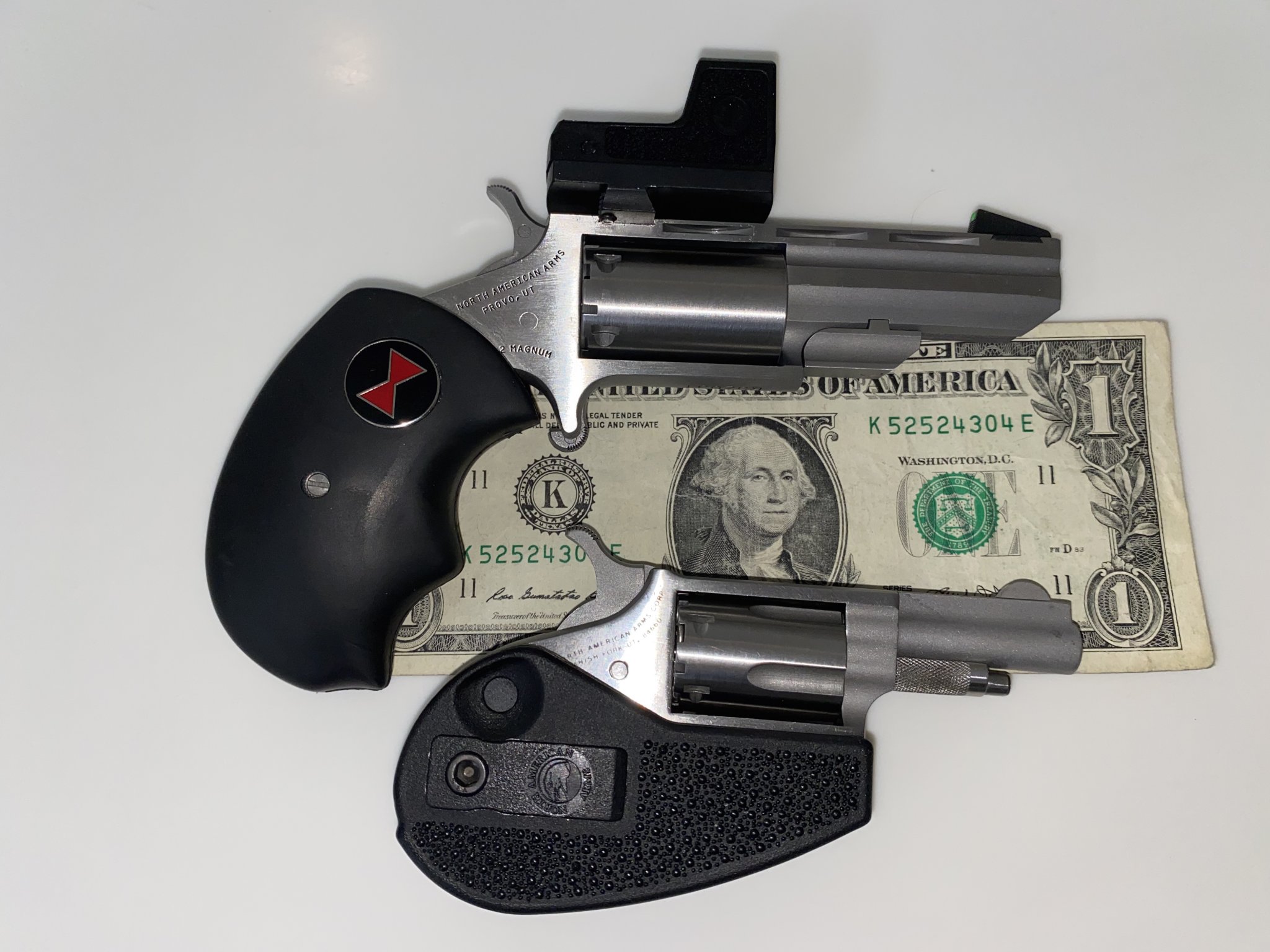 IMG_8009NAA Black Widow & Standard .22LR pistol with Dollar Bill 01.30.21 copy.jpg