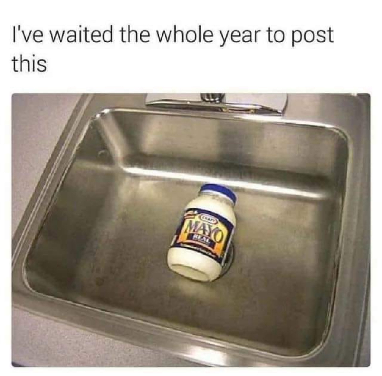 IMG_8133.jpeg