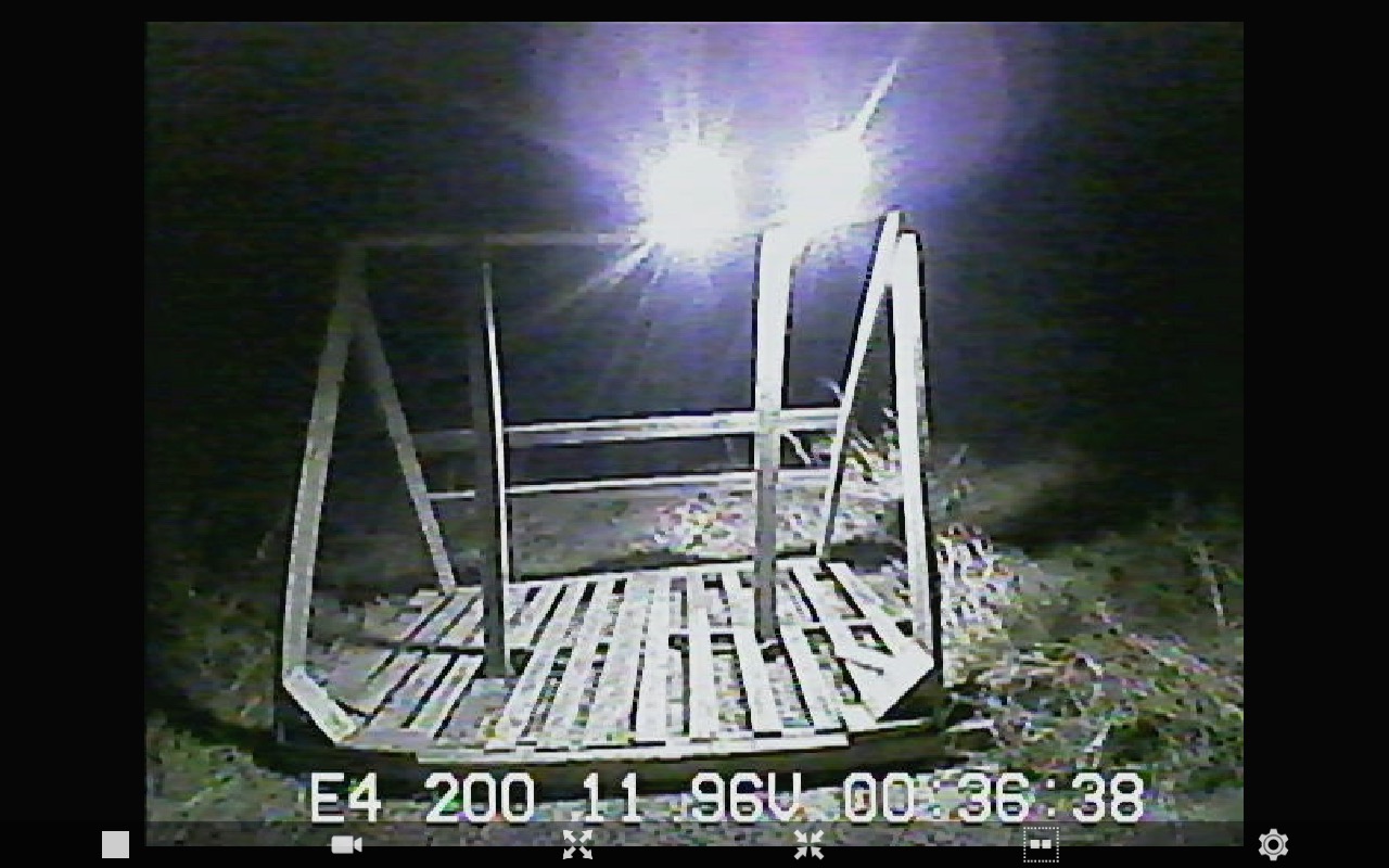 IMG_8265.jpg