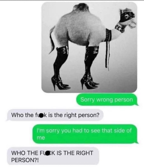 IMG_8519.jpeg