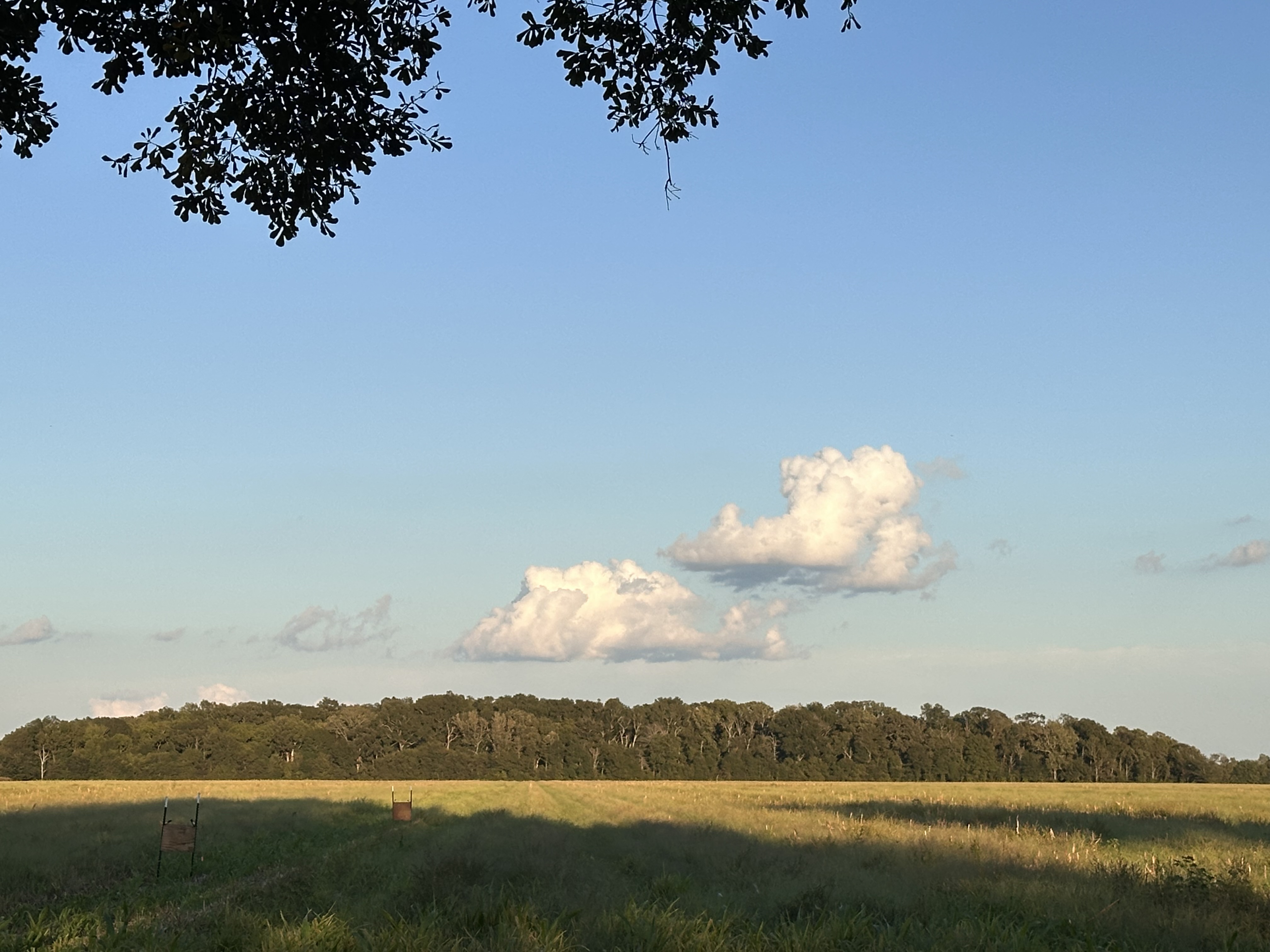 IMG_8965.jpeg