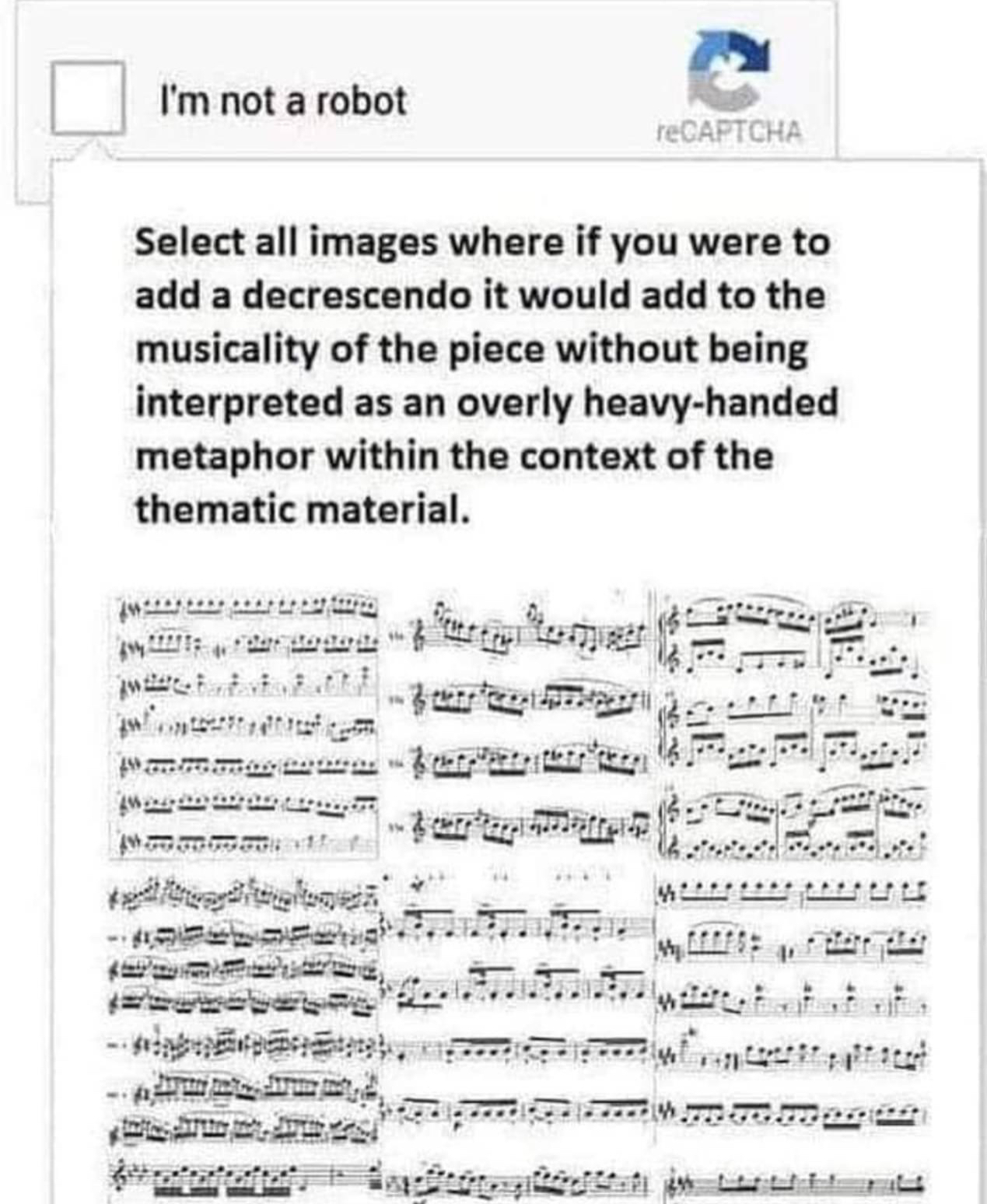 IMG_9145.jpeg
