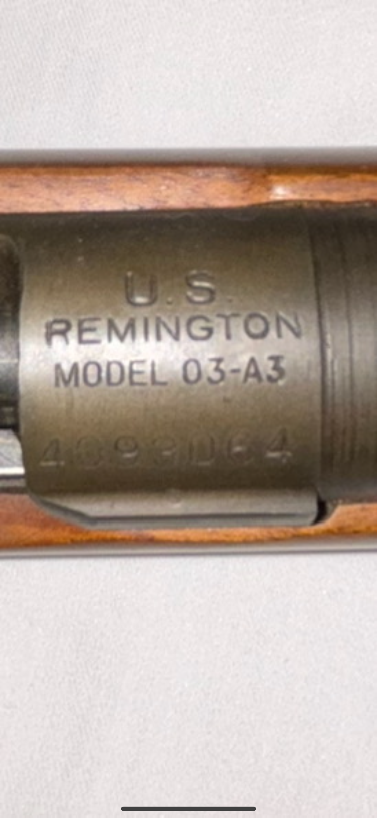 IMG_9161.png