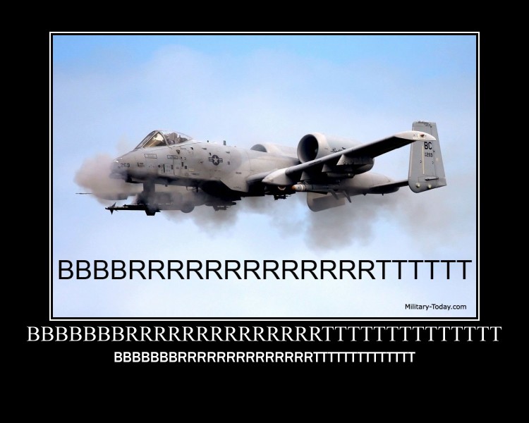 IMG_9984.jpeg