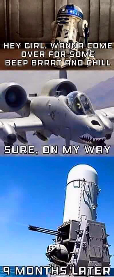 IMG_9986.jpeg