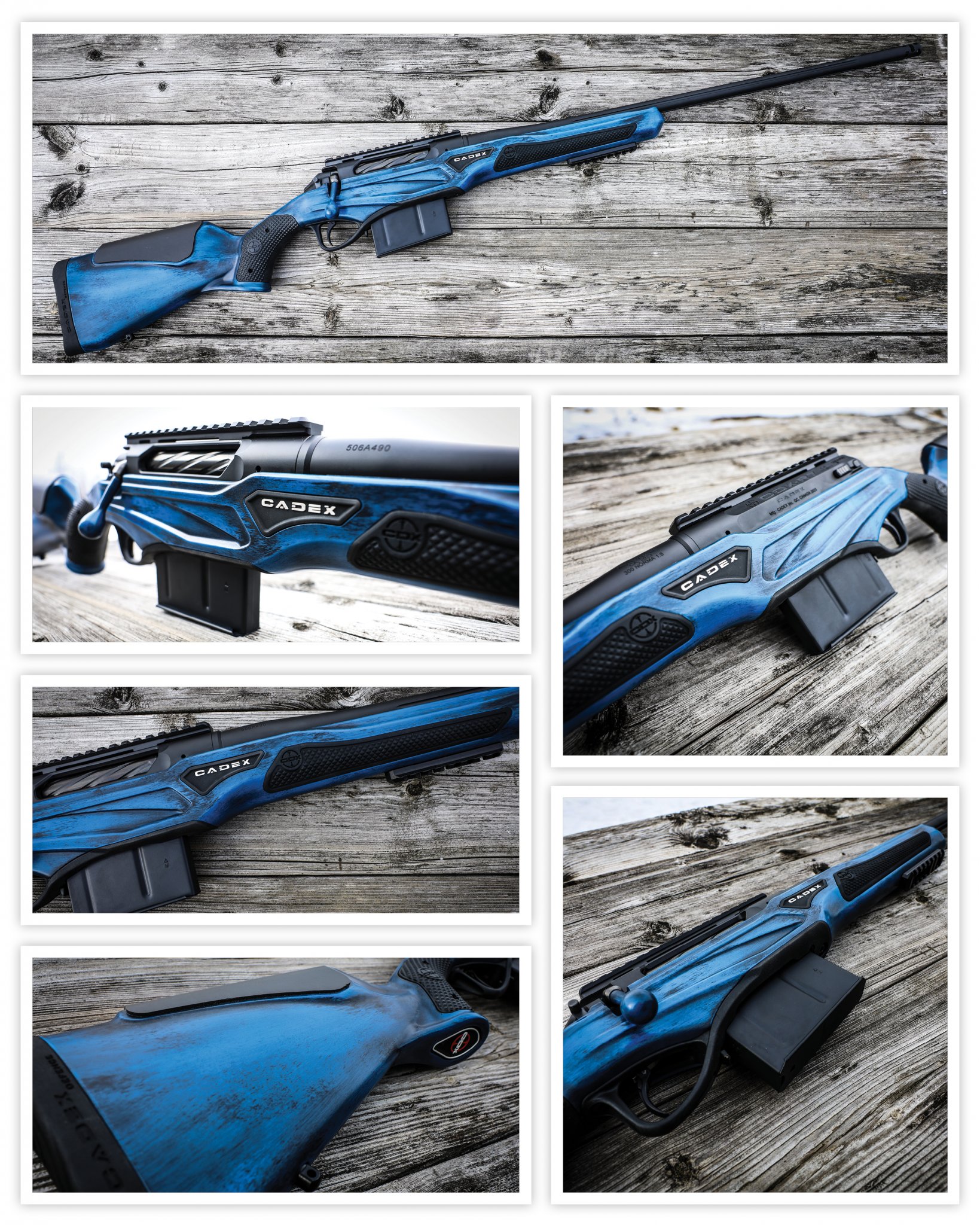 Instagram-SPTR-Blue.jpg