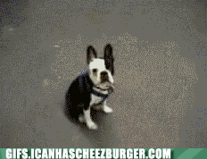 instant-magnetism.gif