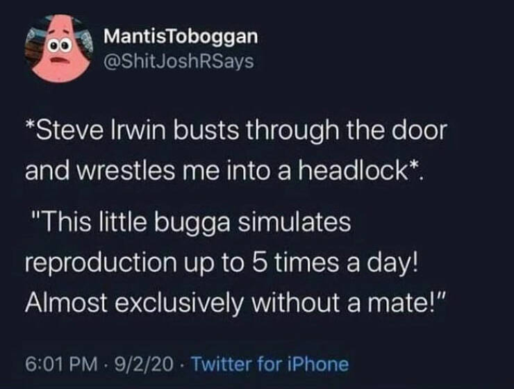 irwin.jpg