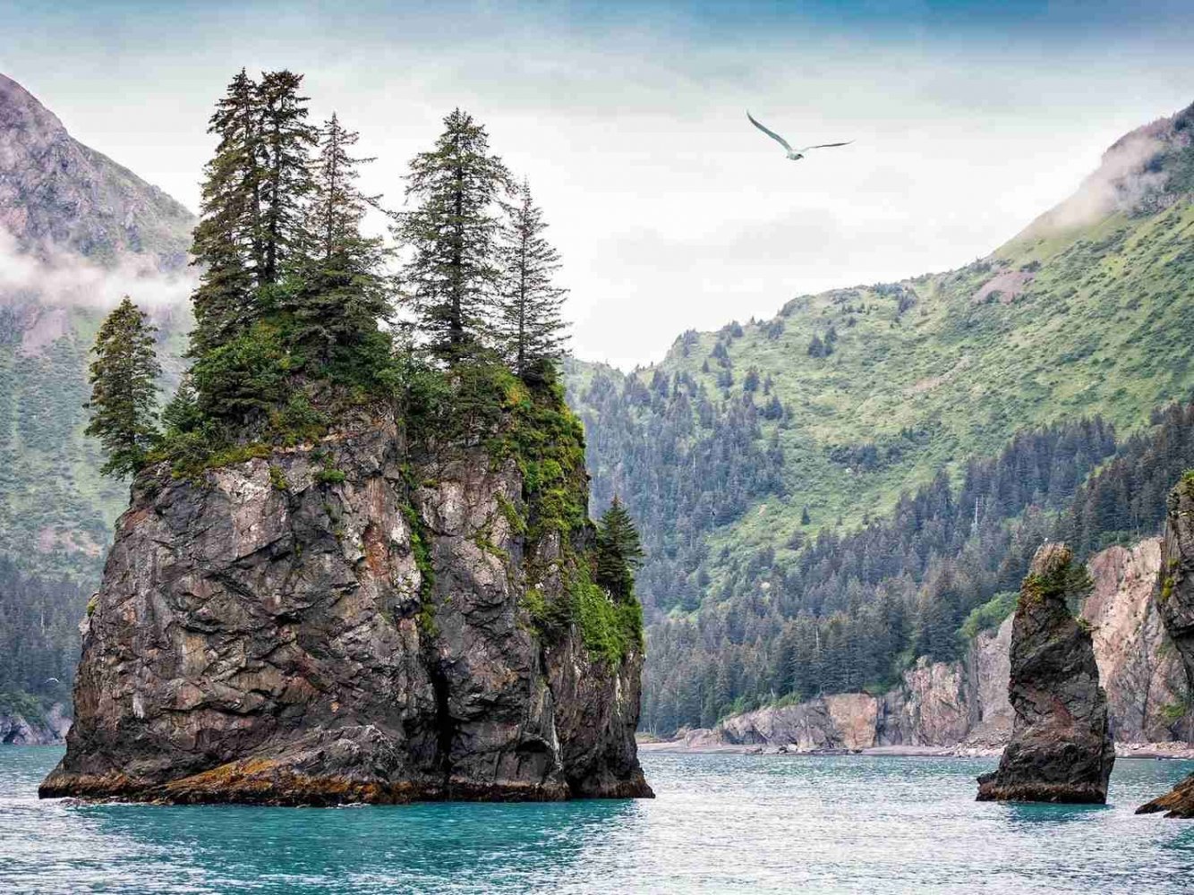 island.jpg