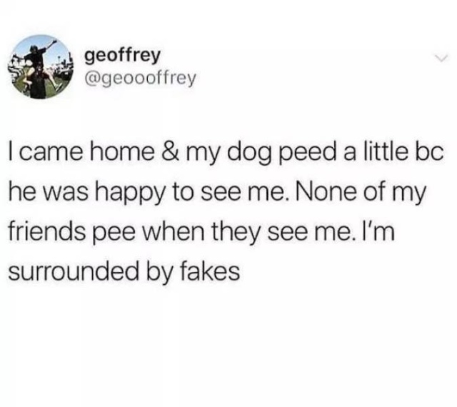 its_so_true_12.jpg