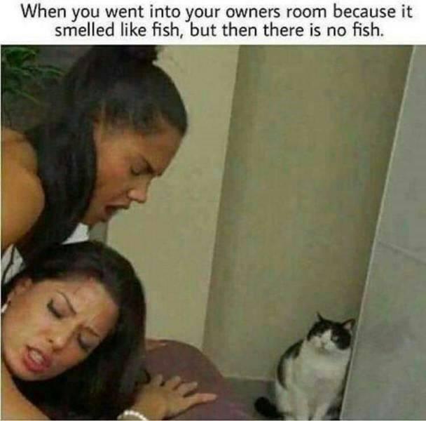 j1rpxs1h7sla1.jpeg