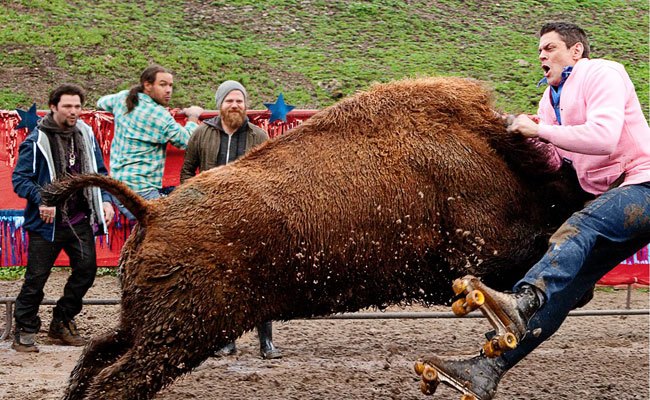 jackass-3d-buffalo-attack-14-9-10-kc.jpg