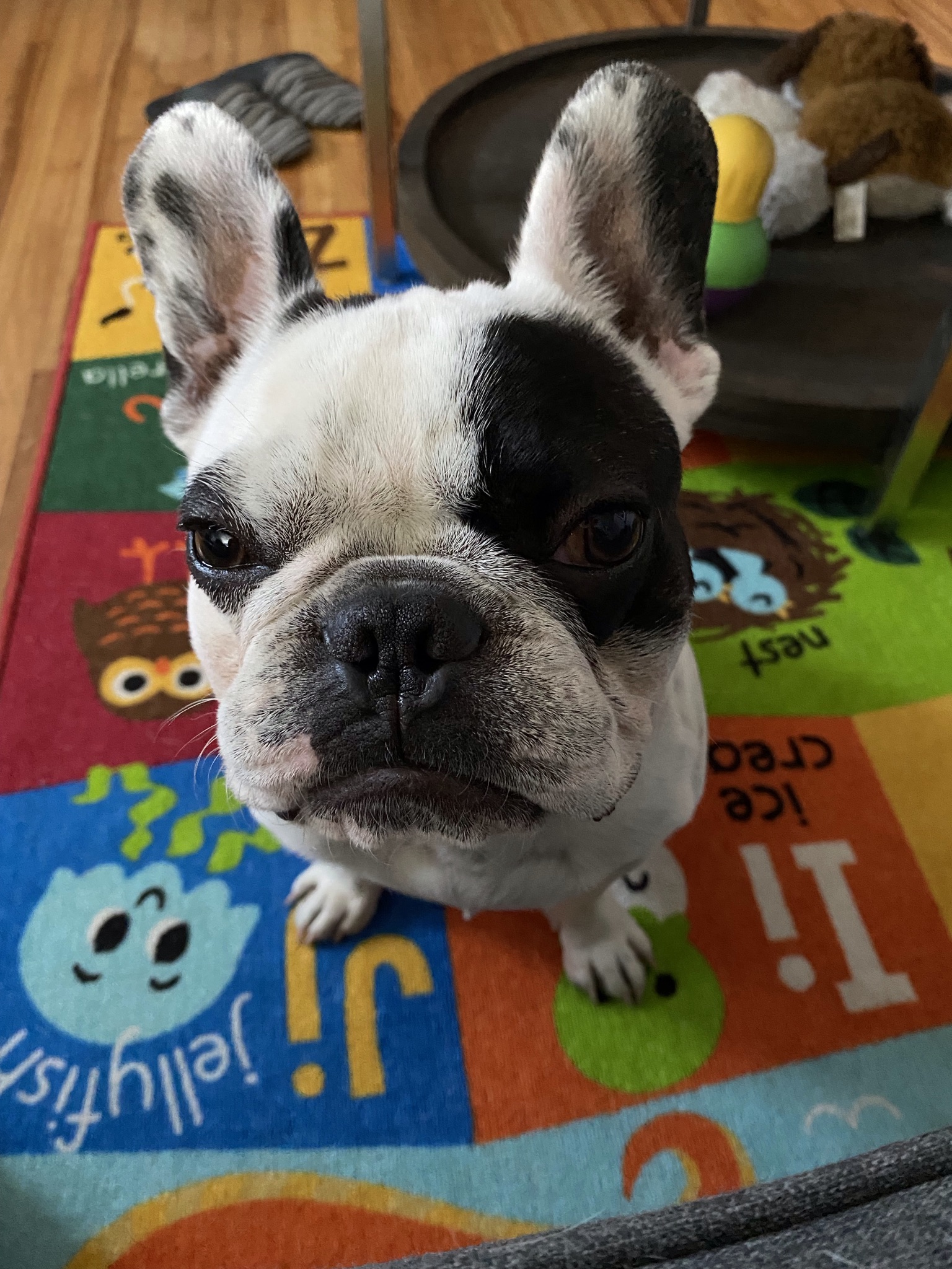 Jax Mud Face.jpeg